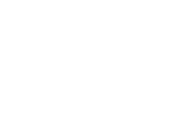 ydlarsen-logo-big.png